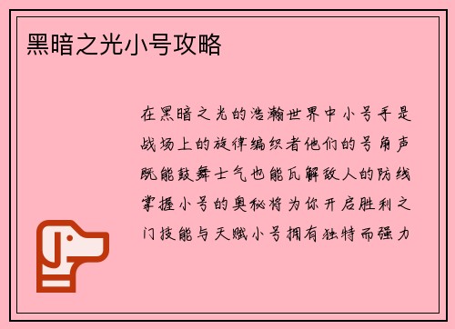 黑暗之光小号攻略